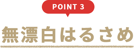 point3 無漂白はるさめ